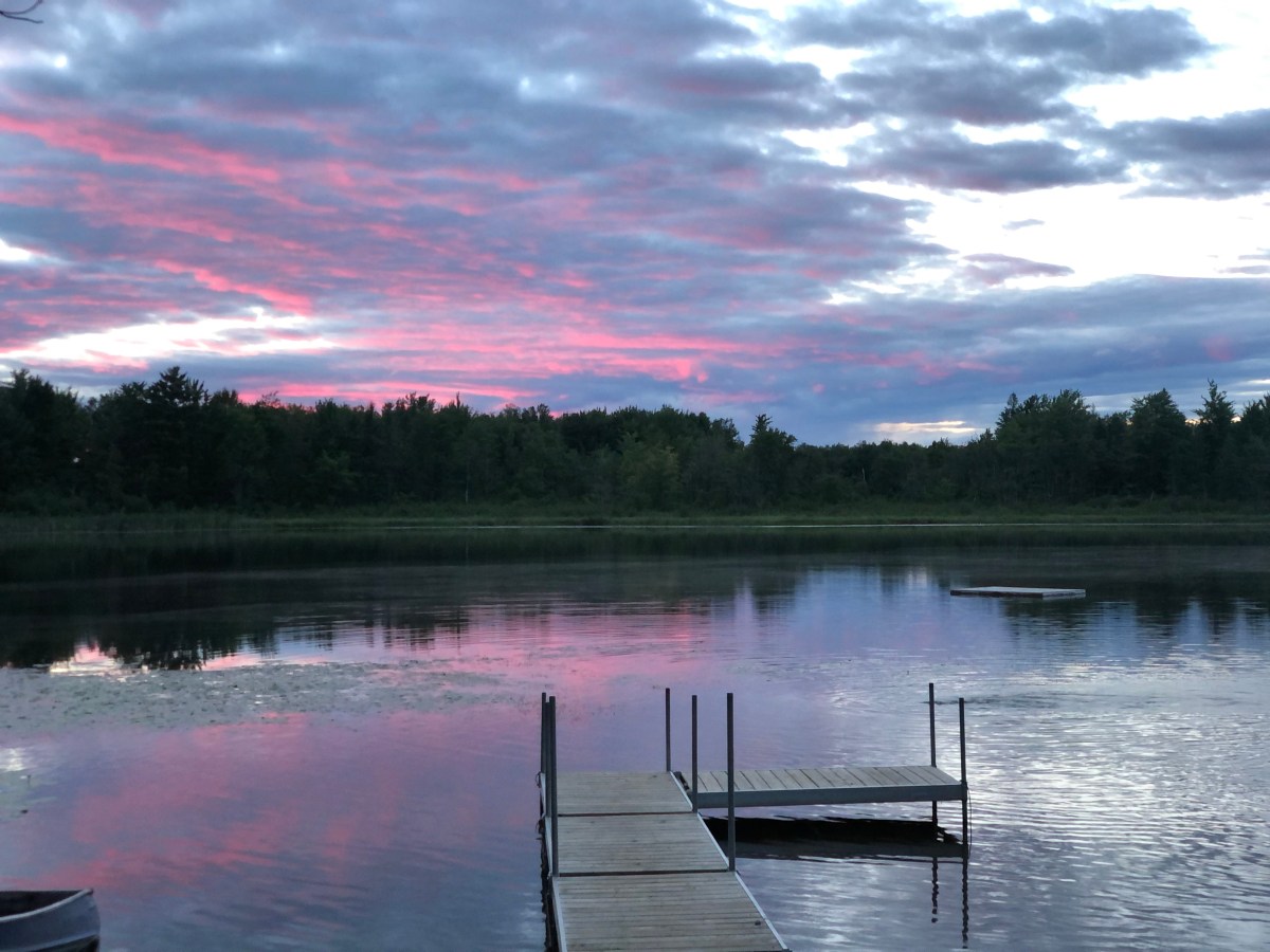 The journey accidentally&nbsp;begins